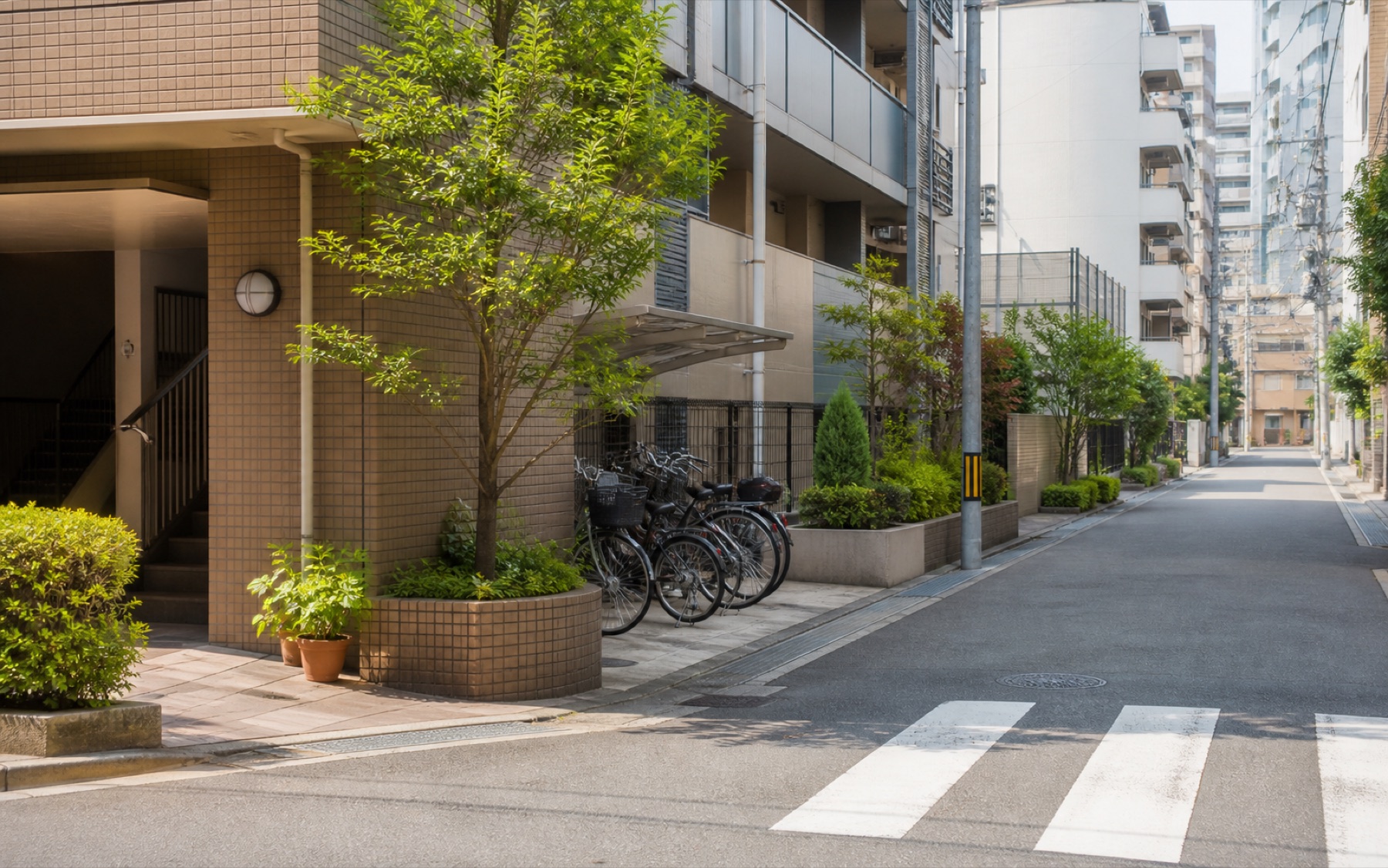 地域の道と住宅街を歩いて訪問へ向かうイメージ